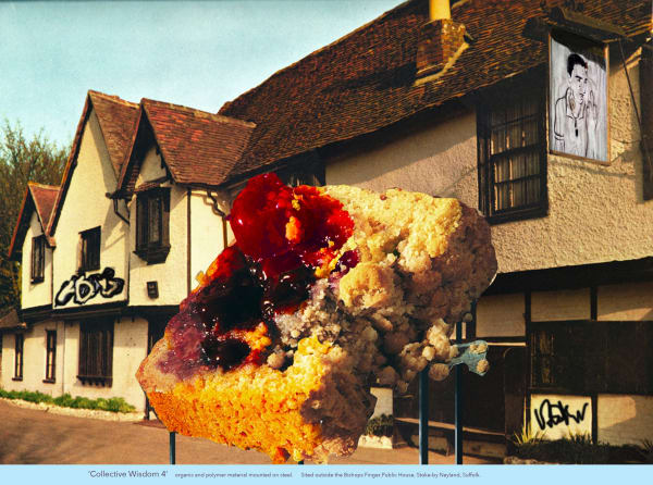 David Ferry PRE, Collective Wisdom