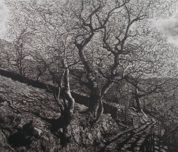 Martin Mitchell ARE, Swindale Spring