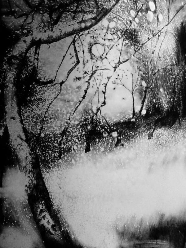 Edward Twohig RE, Super Moon, May 2020