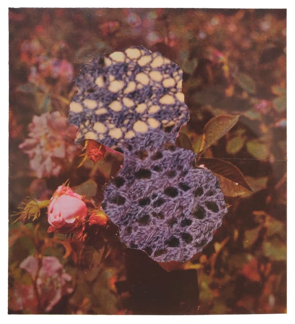 David Ferry PRE, Flower Montage I