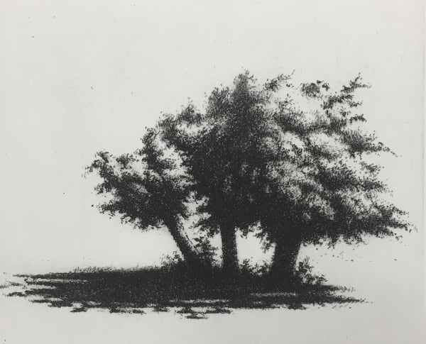 Ali Yanya ARE, Fig Trees