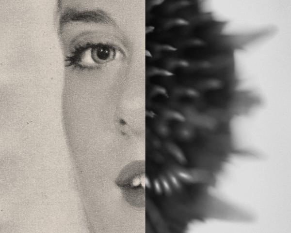 Gordon Ellis-Brown ARE, Human Nature (19)