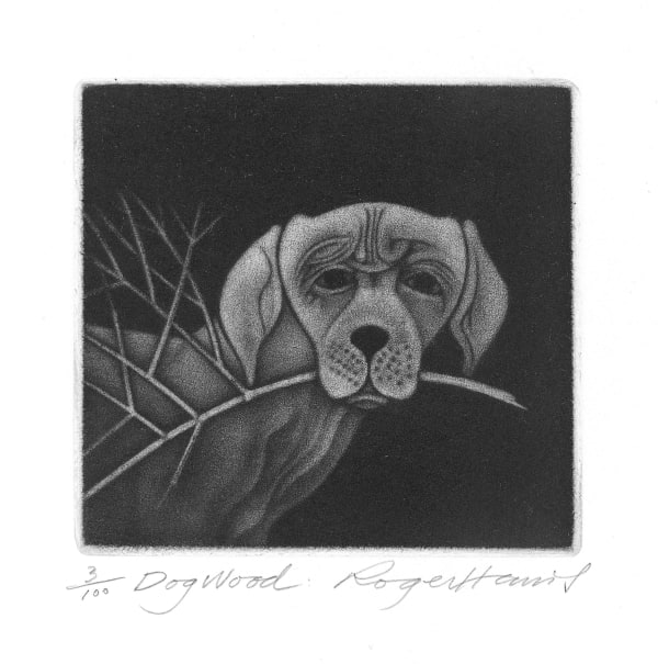 Roger Harris RE, Dogwood