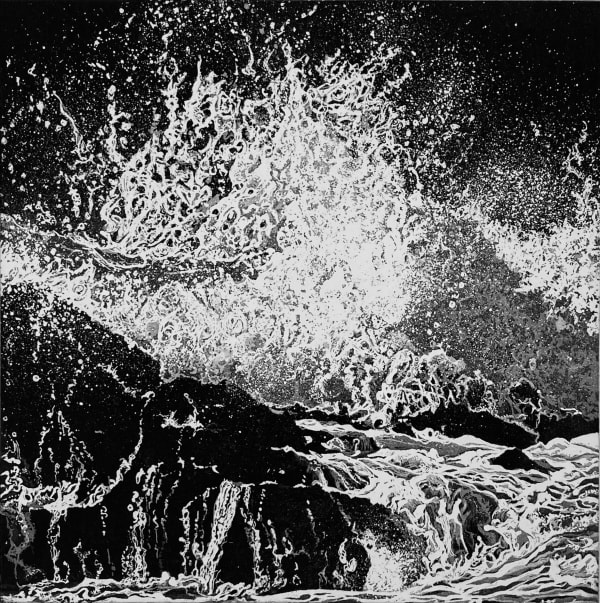 Marianne Ferm VPRE, Wild Oceans