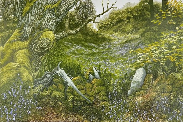 Laura Boswell ARE, Old Walls Carstramon Wood