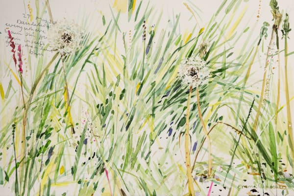 Emma Chambers RWS, Dandelions