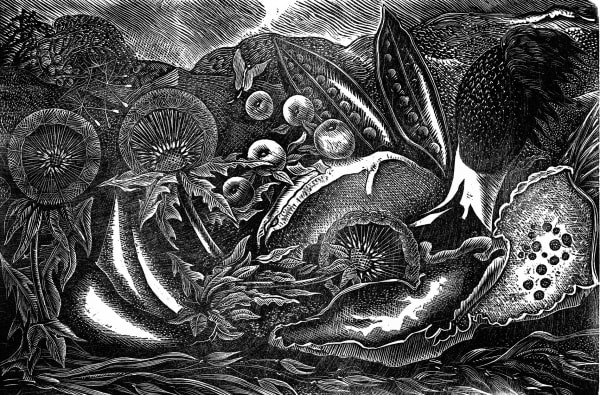 George Tute RE, Nature Morte II