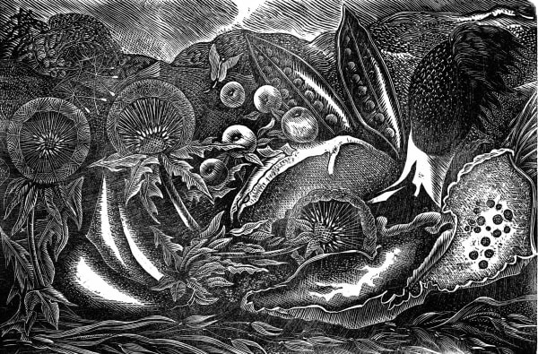 George Tute RE - Nature Morte II