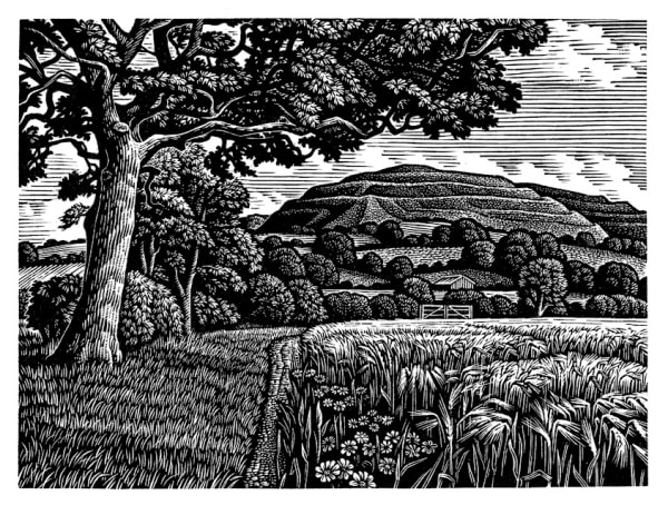 Howard Phipps ARE, Hambledon Hill in Summer