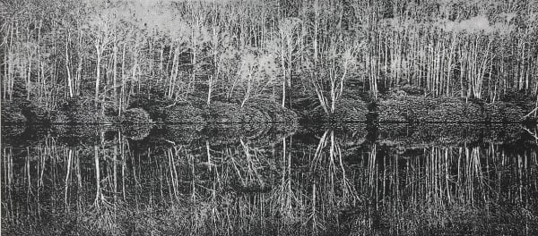 Trevor Price RE, A Moment of Reflection II
