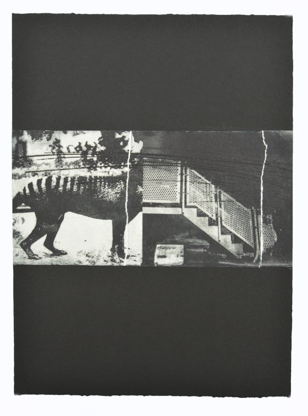 Ian Rawlinson ARE, Chimera (collage)