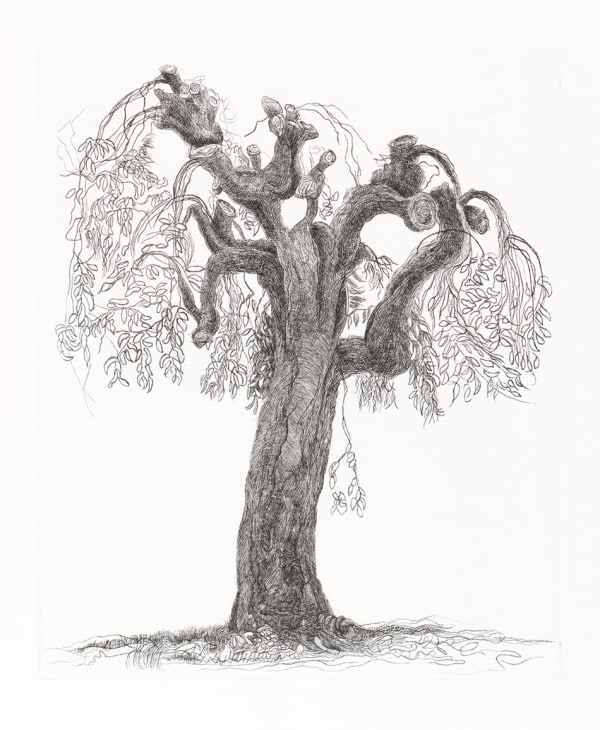 Paul Hawdon RE, TREE