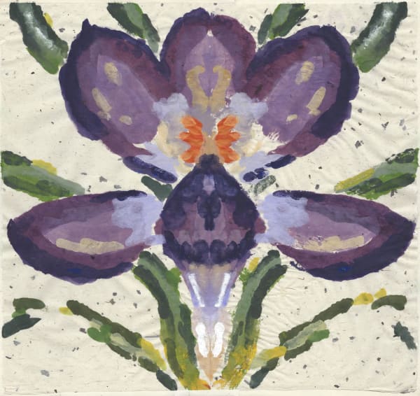 Ned Elliott Guest RWS, Crocus