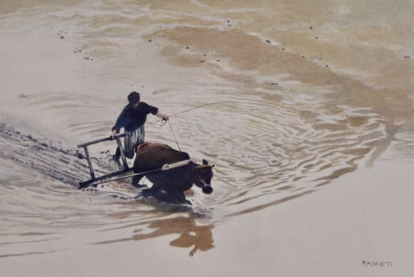 David Paskett PPRWS Hon. RE, Ripples in a Paddy-field, Guizhou.