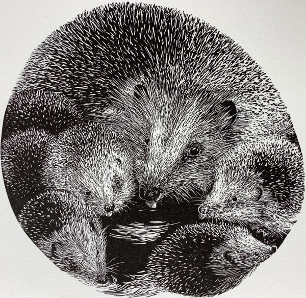 Ann Tout RE, Moon Puddle