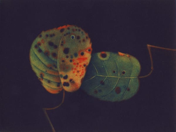 James McCreary ARE, Autumn Leaves II