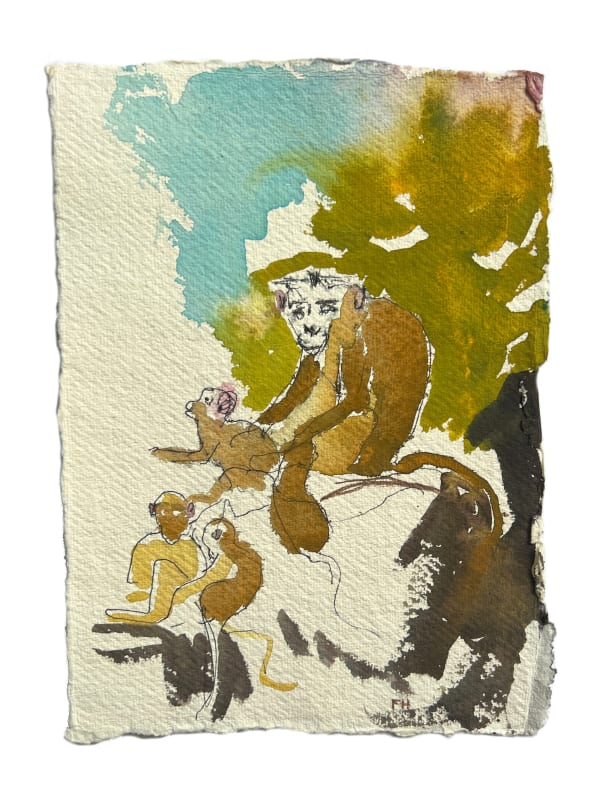 Frances Hatch RWS, Monkey Study: Vedanthangal Bird Sanctuary. Tamil Nadu