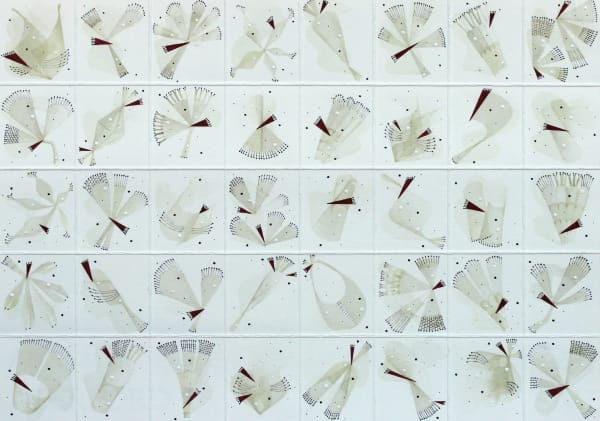Rika Newcombe RWS, Florilegium No.6