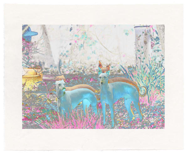 Christopher Clack ARE, In the Garden (Song of Solomon Series), 2025