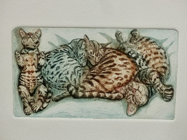 Glynn Thomas RE, Sleeping Patterns