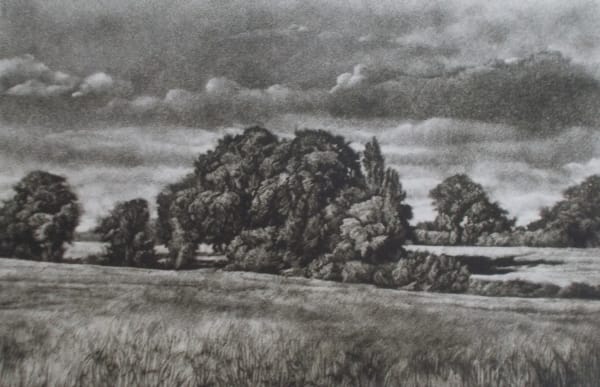 Martin Mitchell ARE, Old Spinney