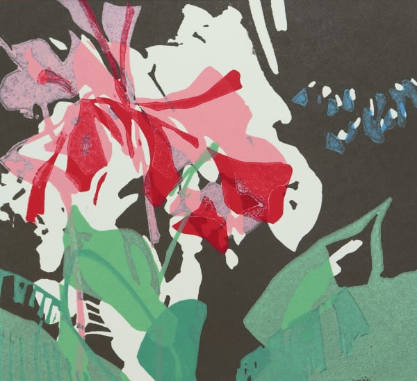 Rachel Gracey RE, Canna Lily Red