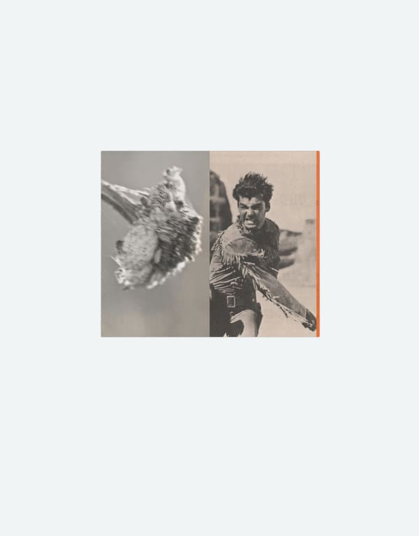 Gordon Ellis-Brown ARE, The Convenience of Nature (12)