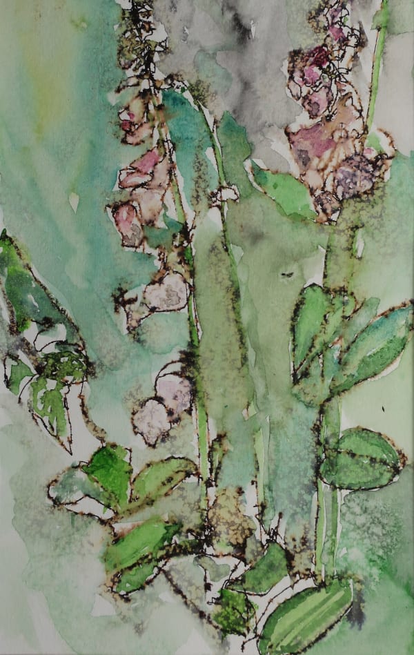 David Hamilton RWS, Hollyhocks