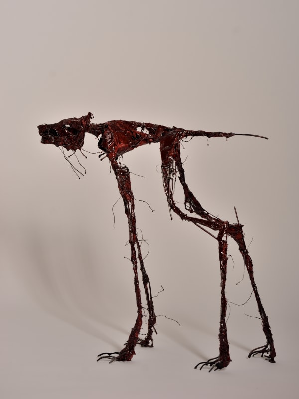 harry de dood, bloedhond, 2022