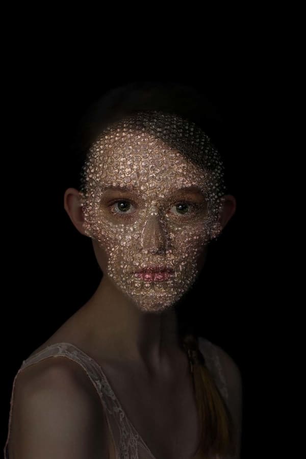 Micky Hoogendijk, Ode to Damien, 2012