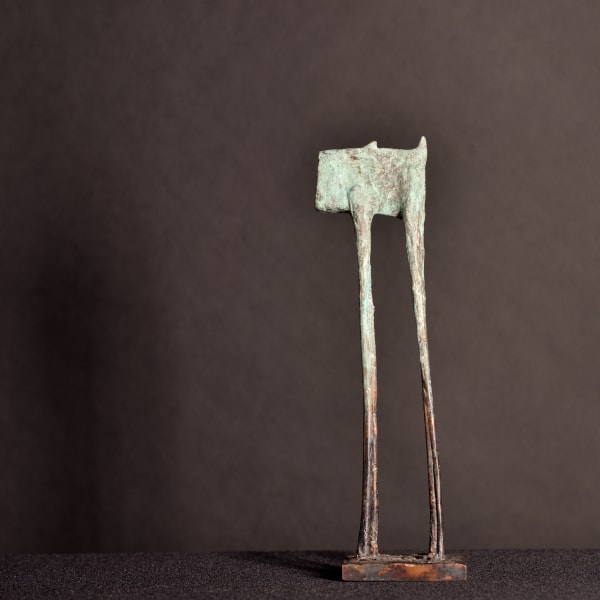 harry de dood, vlaams blokje, 2023