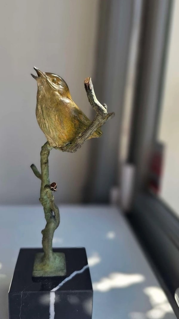 Maurice den Boer, Winterkoninkje, 2024