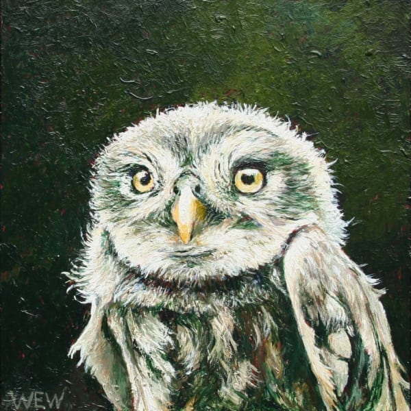 Wout Wachtmeester, "Fienig", 2025