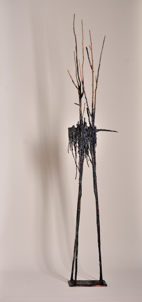 harry de dood, takkenboshond, 2024