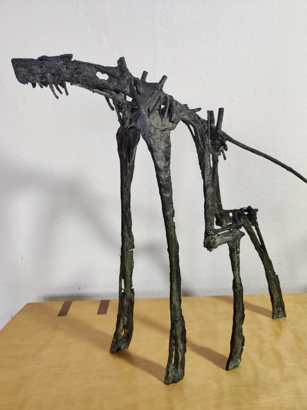 harry de dood, borger, 2024