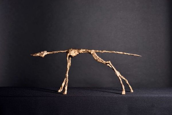 harry de dood, staak, 2023