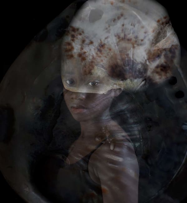 Micky Hoogendijk, Sheltered, 2015