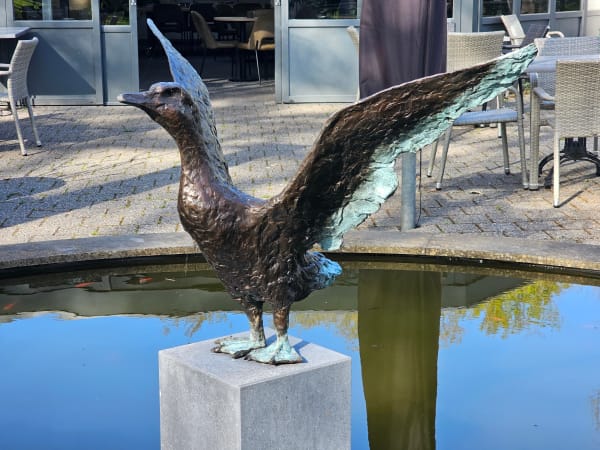 Jonneke Kodde, Breeduit