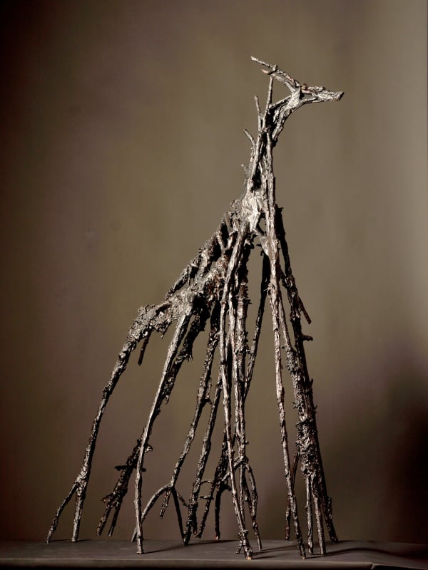 harry de dood, mangrove, 2024