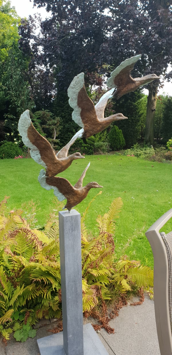 Jonneke Kodde, Naar de toekomst