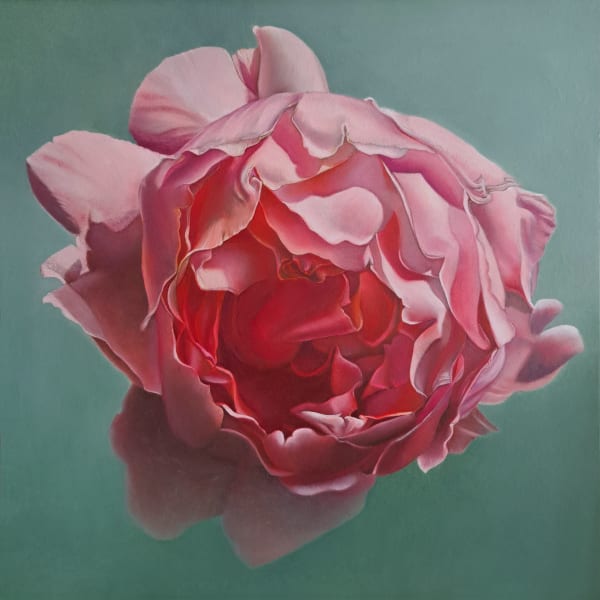 Anja Jager, Tuinroos, 2024