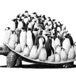 Redmer Hoekstra, geen titel, 2019