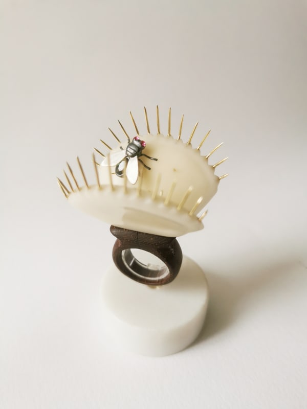 Aysa Posthuma, Tagua Dionaea Ring, 2025