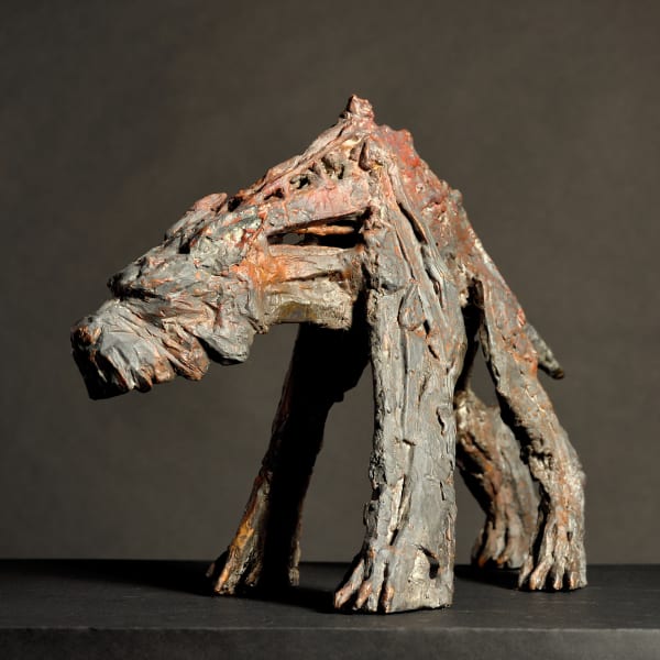 harry de dood, brutus, 2024