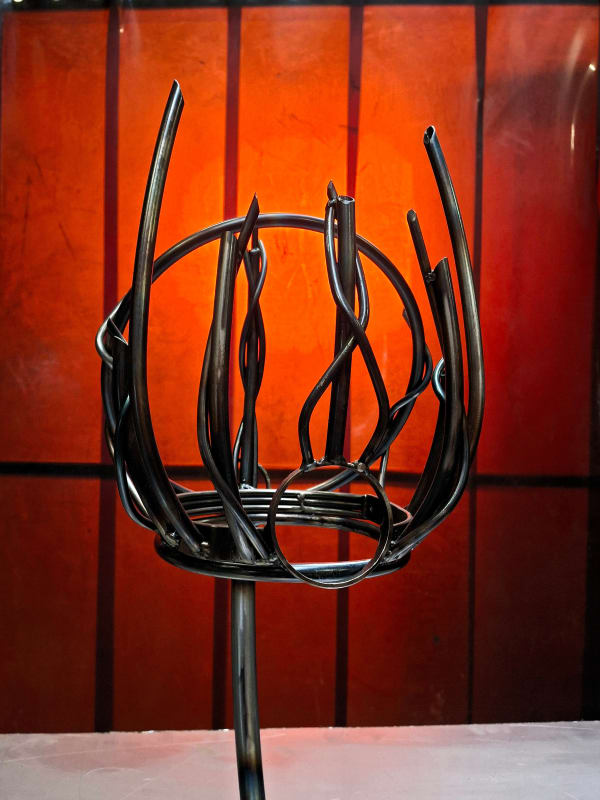 Gijs van poecke, Crown of Amxilliorath, 2025