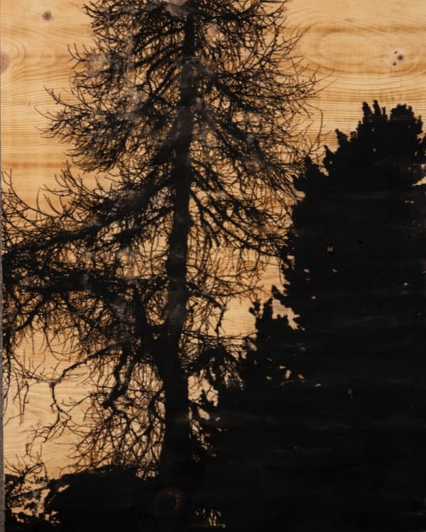 Douglas Mandry, Resilienza no. 5, Engadine, 2022