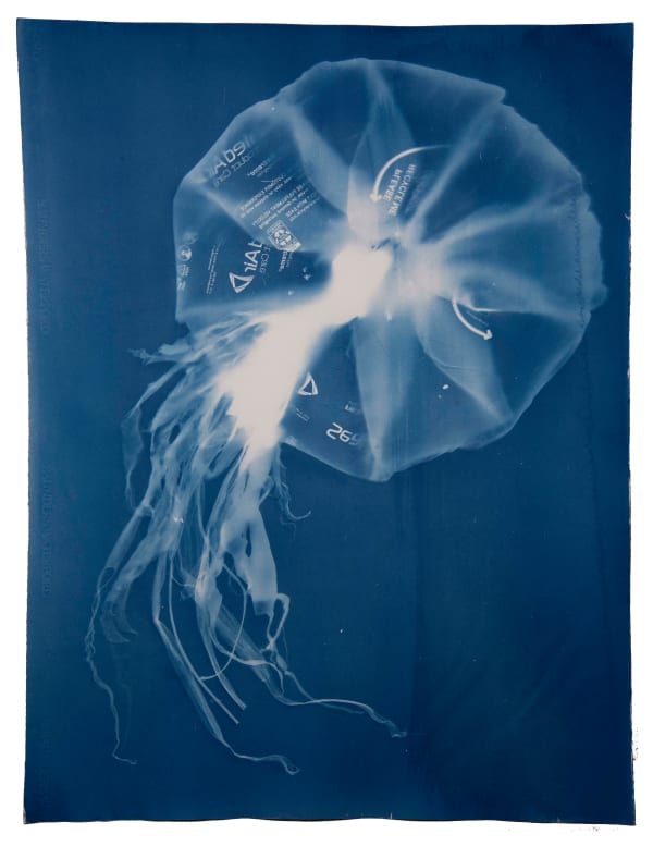 Rachel Thomson, Invasive Medusa no. 6, 2023