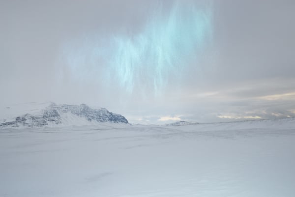 Inka & Niclas, Becoming Wilderness XVIII, 2014