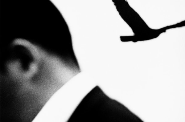 Renato D'Agostin, Tokyo Untitled