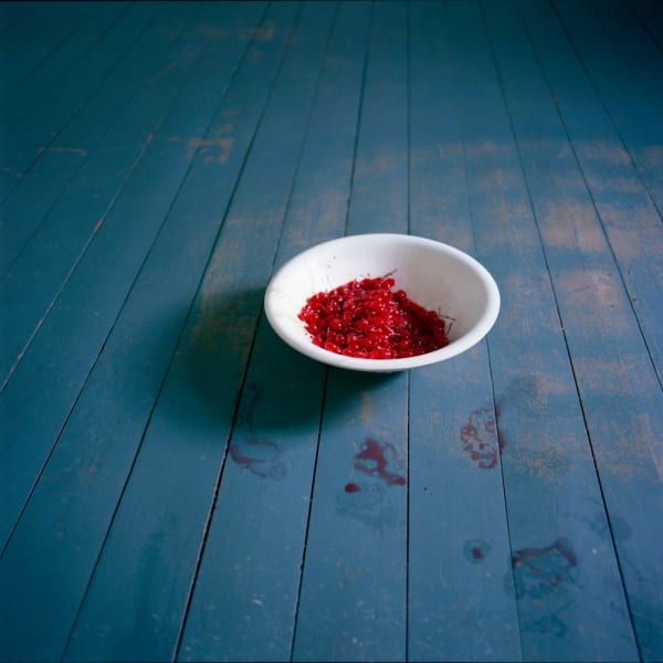 Cig Harvey, Bowl of Cherries, Rockport, Maine, 2007